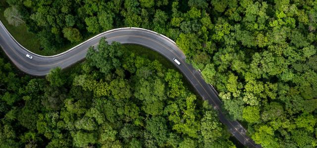 Aerial view green forest with car on the asphalt road